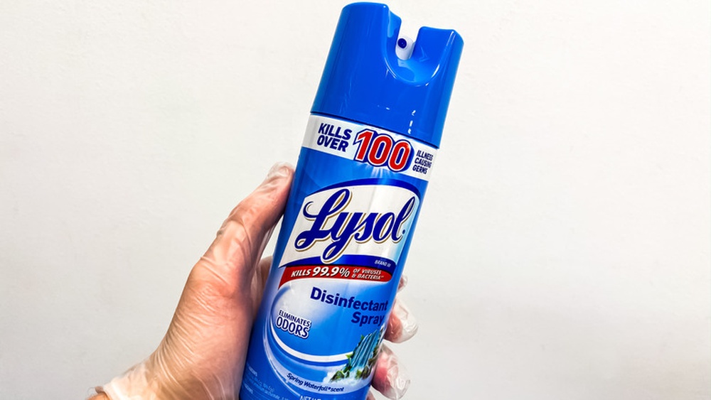 Will Lysol Kill Ants