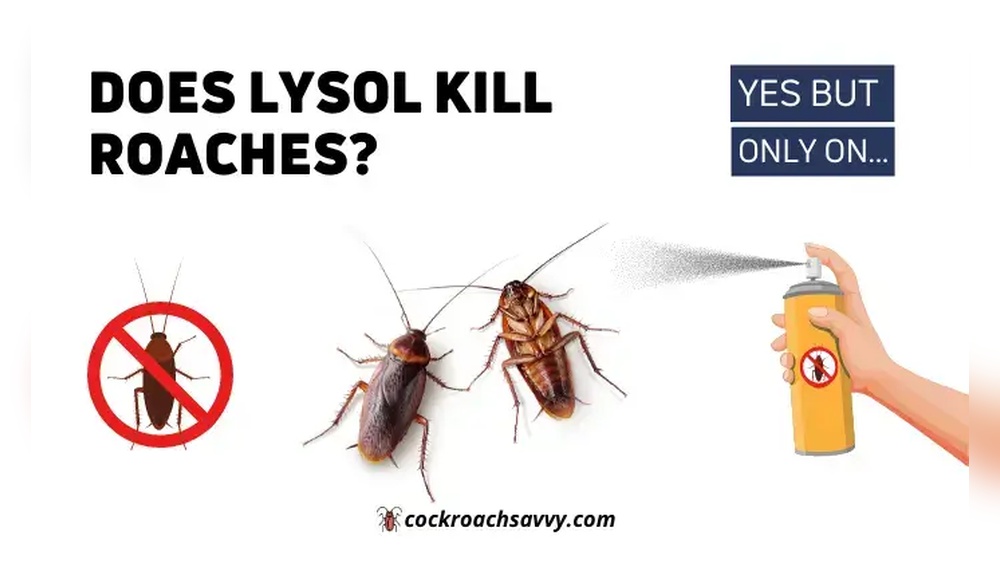 Will Lysol Kill Cockroaches