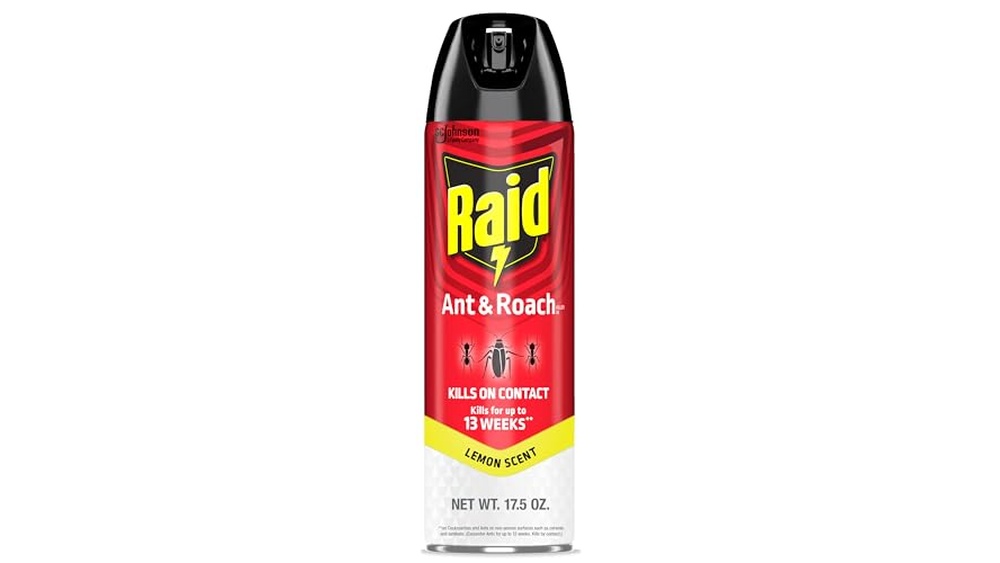 Ant Bait Vs Spray