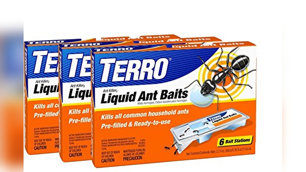 Best Ant Bait for Kitchen Cabinets