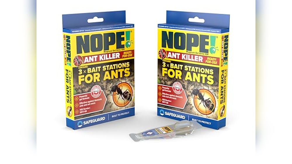 Best Ant Killer for Heavy Infestation