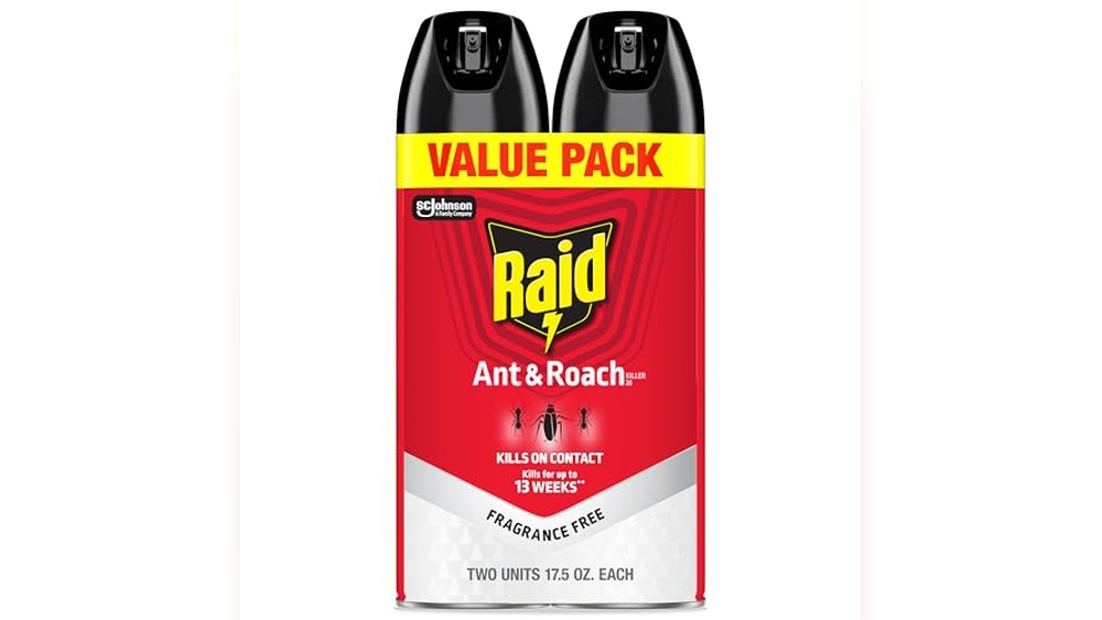 Best Ant Killer for Home