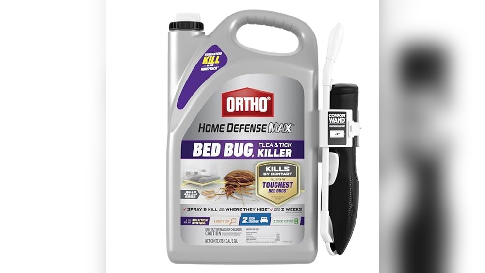 Best Bed Bug Killer for Mattress And Bedding