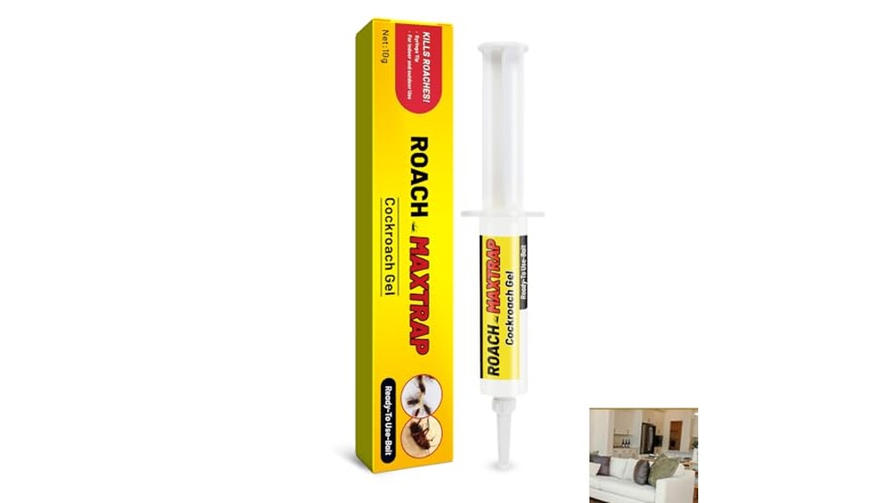 Best Budget Roach Killer for Home Use