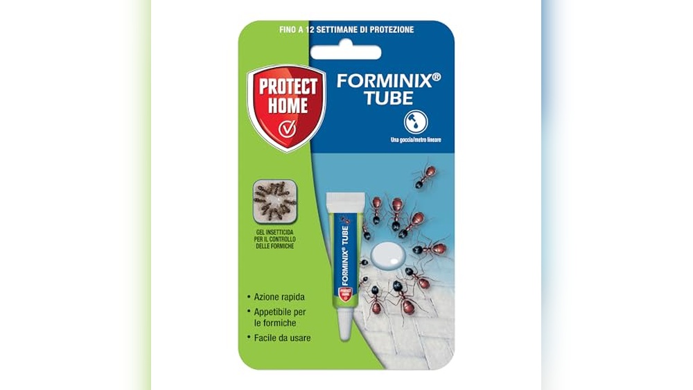 Best Cheap Ant Killer That Works