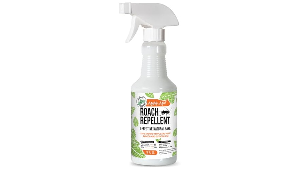 Best Cockroach Killer for Small Apartment Infestation