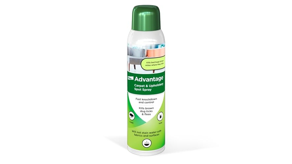 Best Flea Spray for Couch And Upholstery