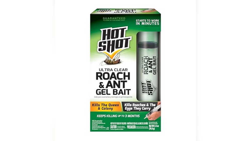 Best Gel Ant Killer for House