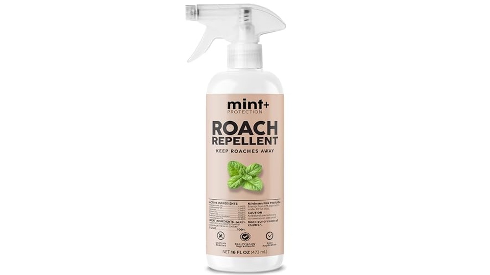 Best Long Lasting Cockroach Killer