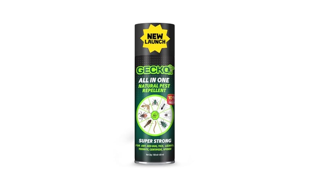 Best Long Lasting Spider Killer for Recurring Problem