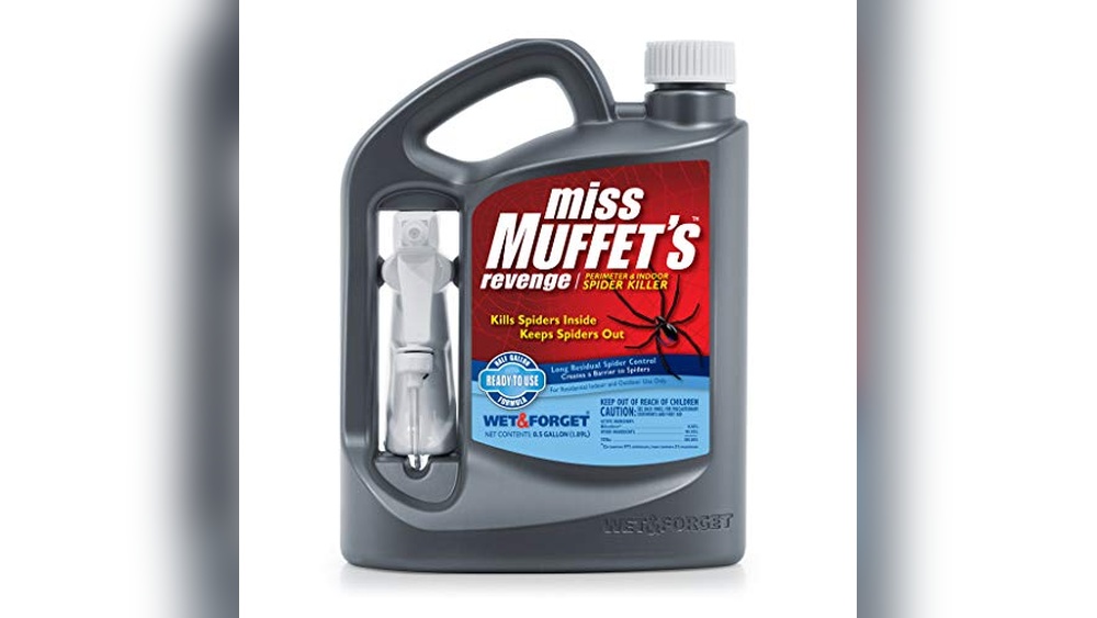 Best Odorless Spider Spray for Indoor Use
