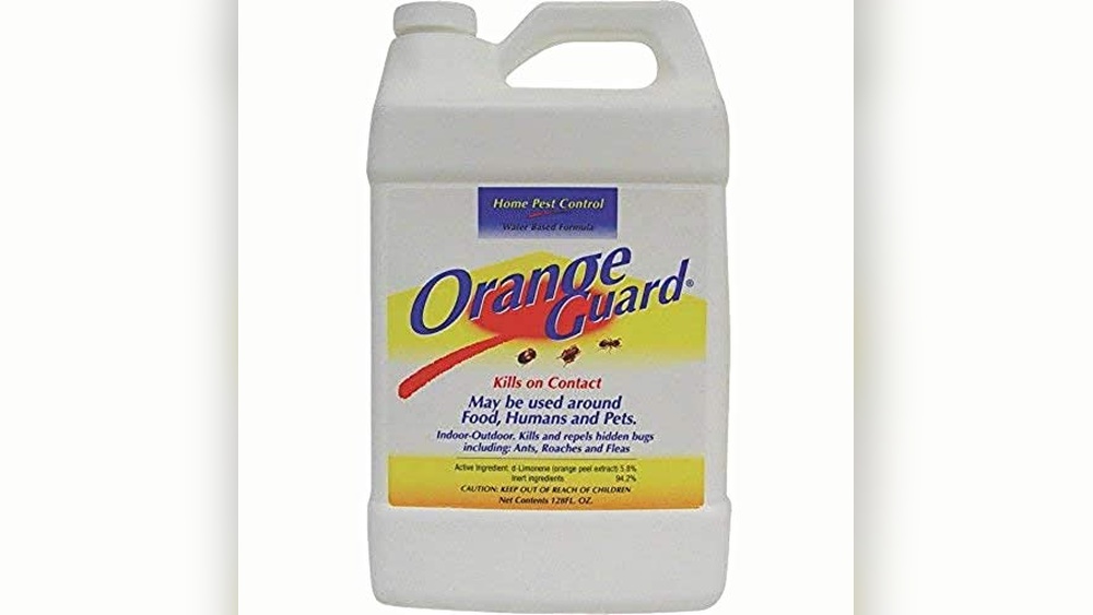Best Pest Control Solution for Fleas in Home