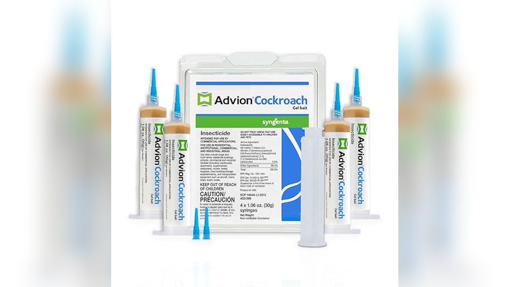 Best Pest Control Solution for German Cockroaches