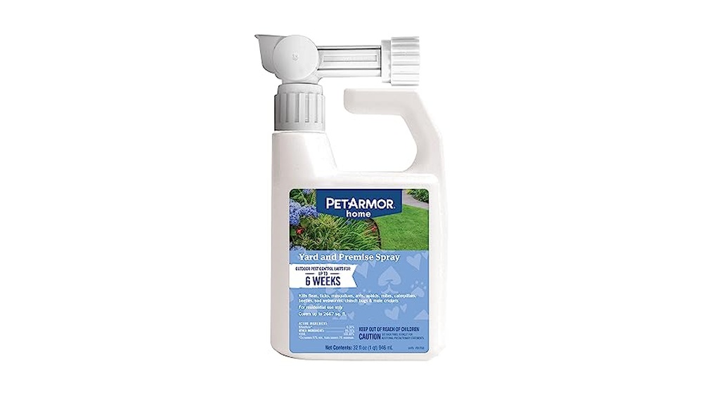 Best Pet Safe Ant Killer