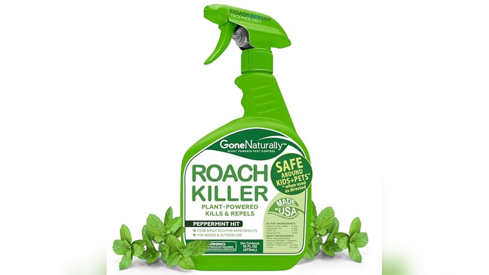 Best Product to Kill Cockroaches in Bathroom Fast