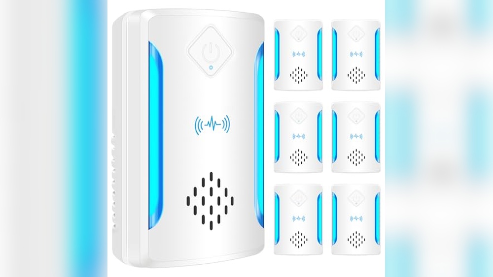 Best Roach Control for Humid Environments