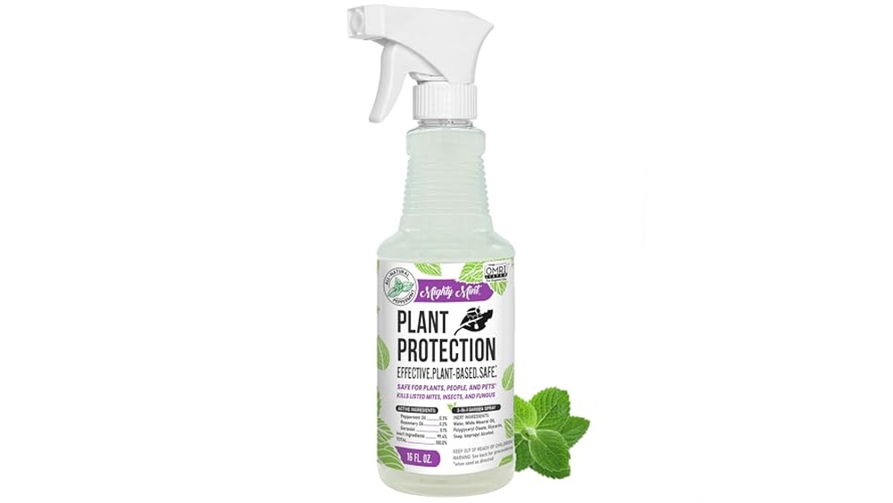 Best Spider Control for Garden And Plants