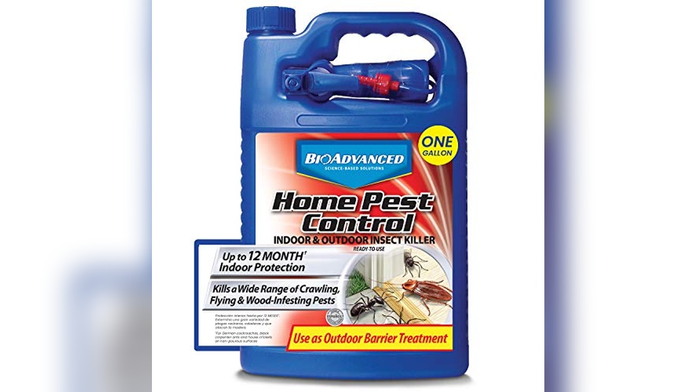 Best Spider Control Products for House