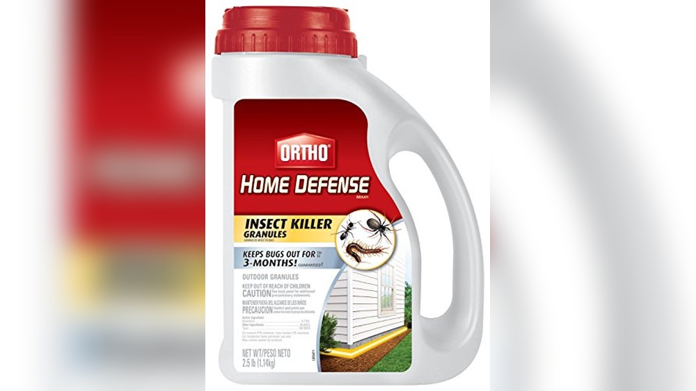 Best Spider Killer for Humid Environments