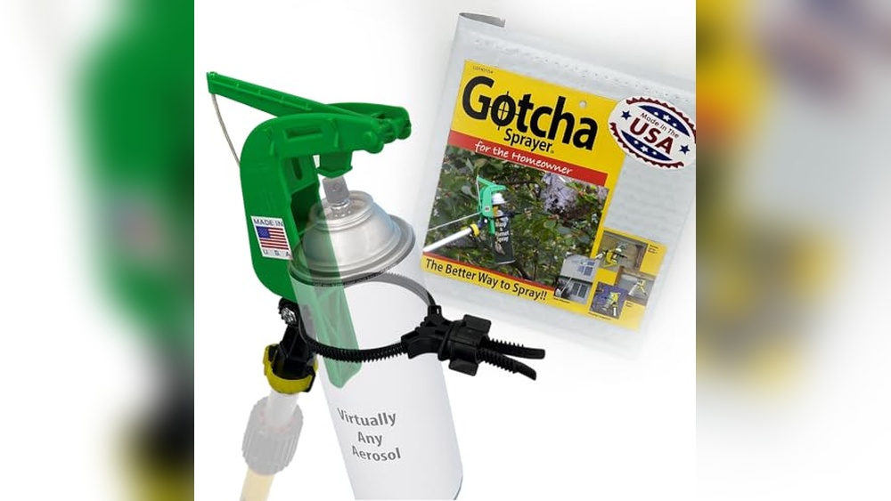 Best Spider Repellent for Windows And Doors