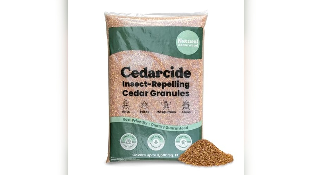 Best Spider Repellent for Yard And Patio