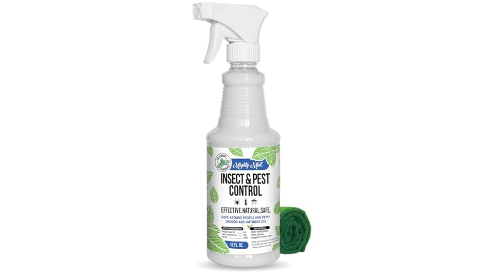 Best Spider Spray for Bathroom
