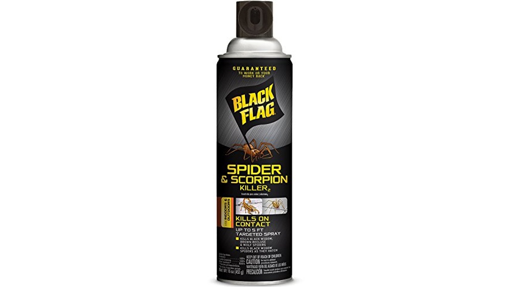 Best Spider Spray for Kitchen