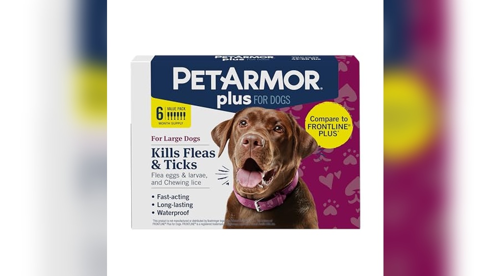 Best Tick Treatment for Dogs