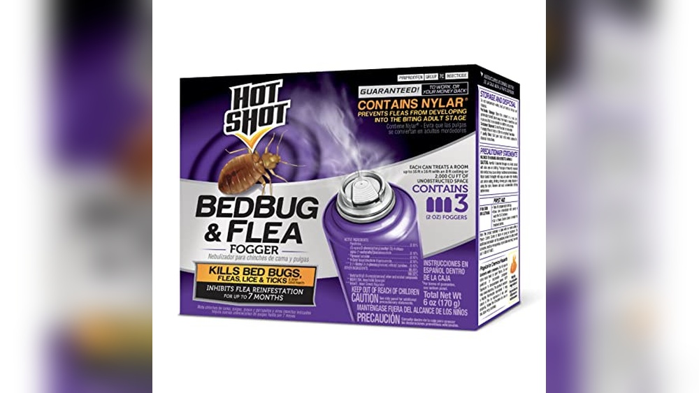 Best Treatment for Severe Bed Bug Infestation in Home