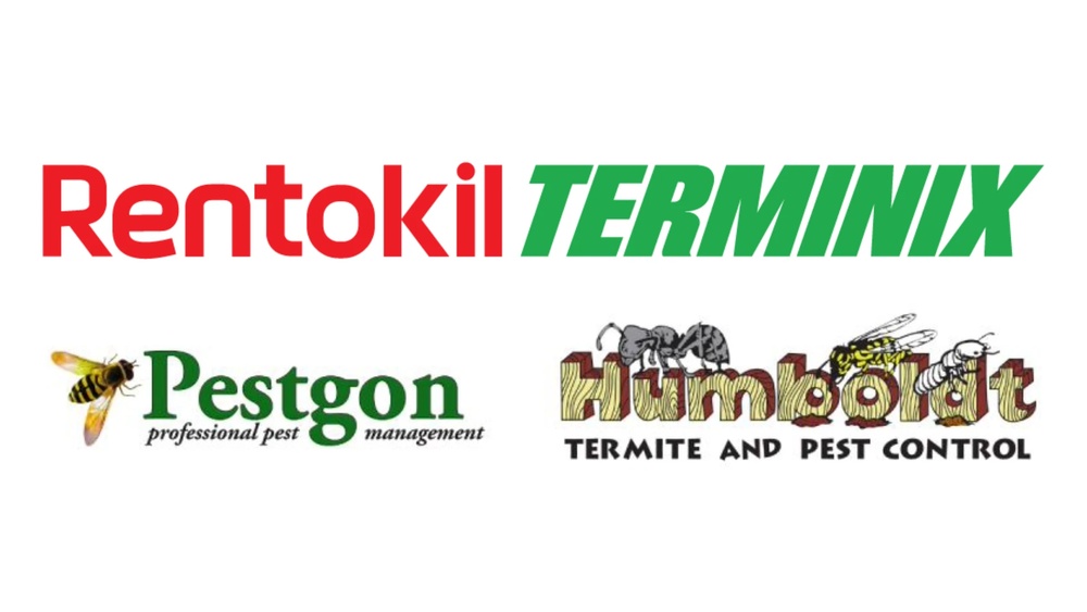 California Pest Control Companies