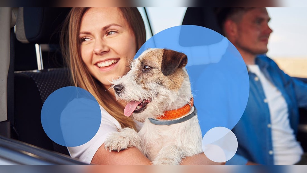 Do Flea And Tick Collars Work