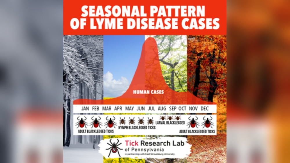 Do Ticks Live in the Winter