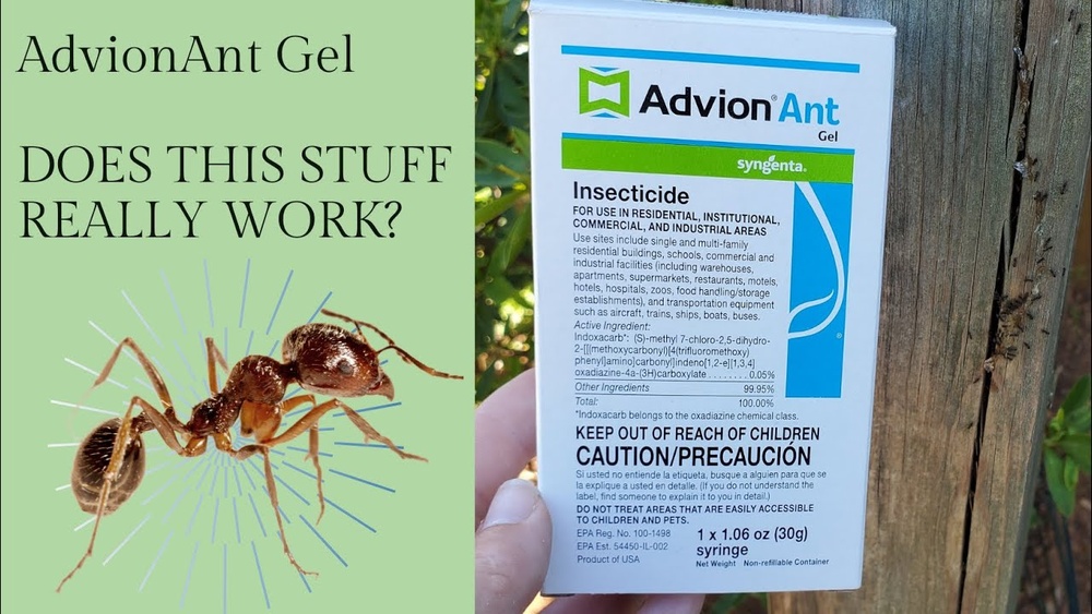 Does Advion Ant Gel Work