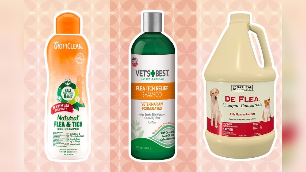 Does Flea And Tick Shampoo Work
