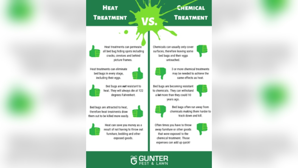 Heat Treatment Vs Chemical for Bed Bugs Which is Best