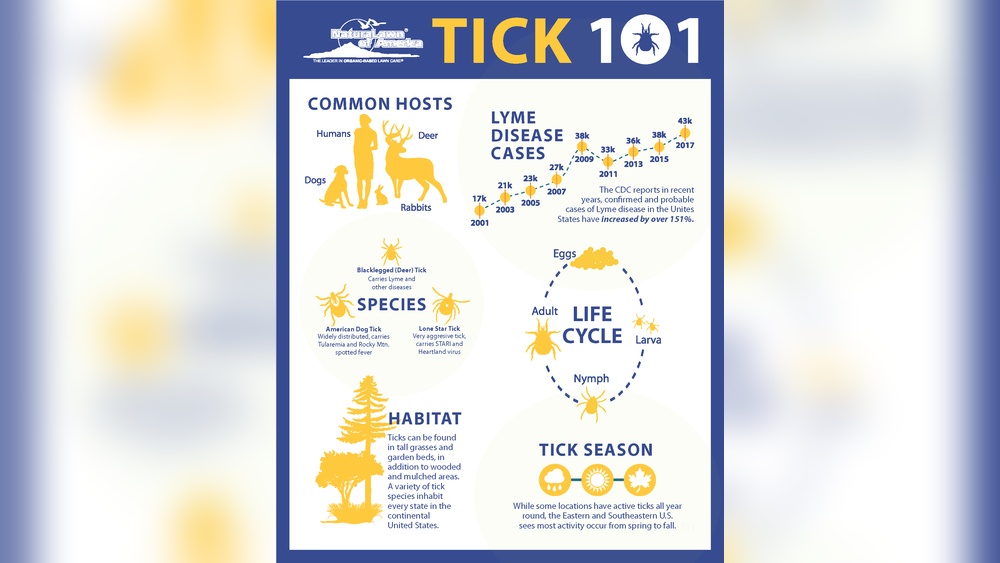 How Can You Get Rid of Ticks in the Yard