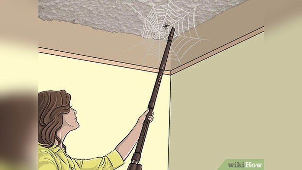 How to Clean Spider Webs from Ceiling