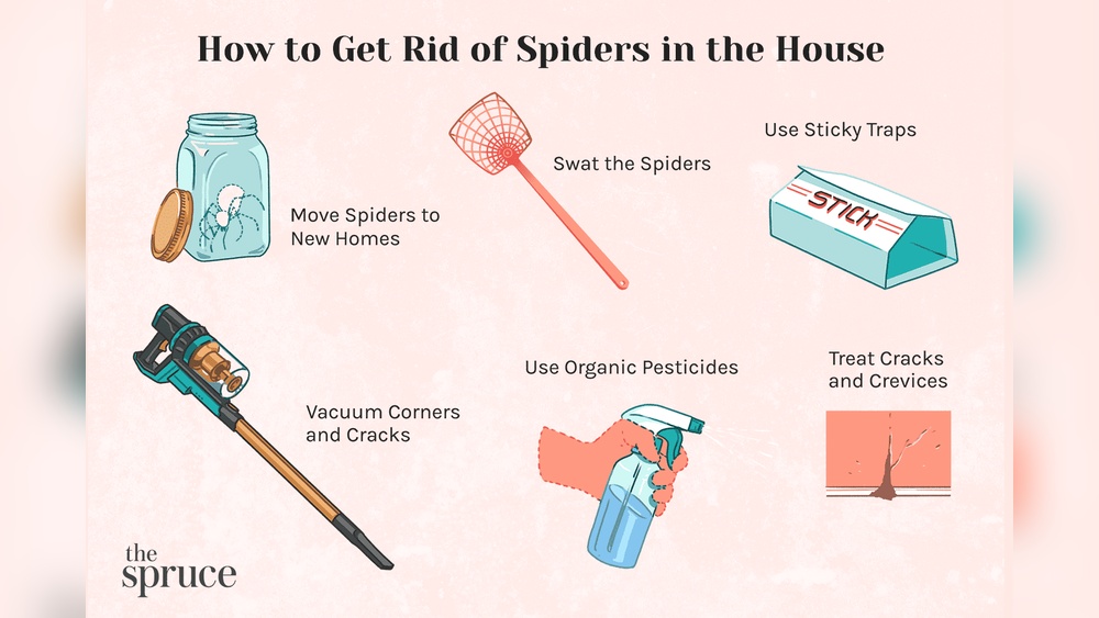 How to Get Rid of Spiders on Porch
