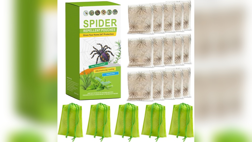 How to Get Rid of Spiders Pet Safe