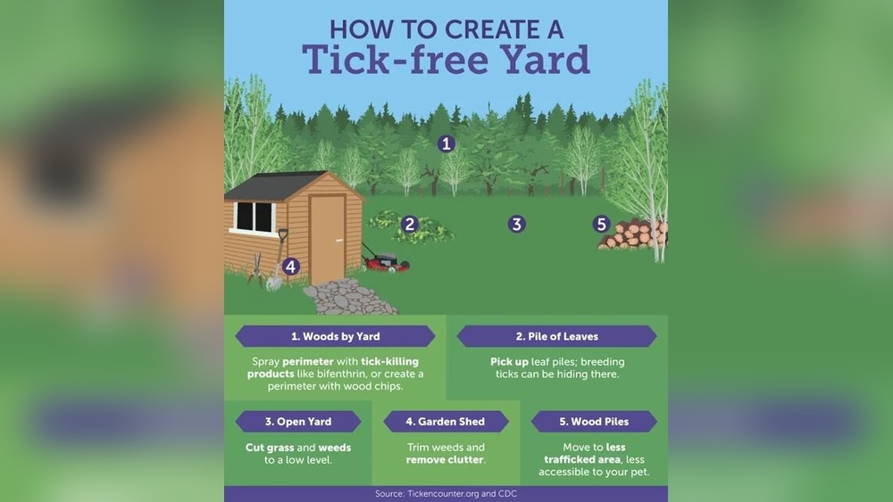 How to Get Rid of Ticks in Garden