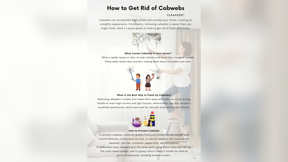 How to Remove Cobwebs Permanently