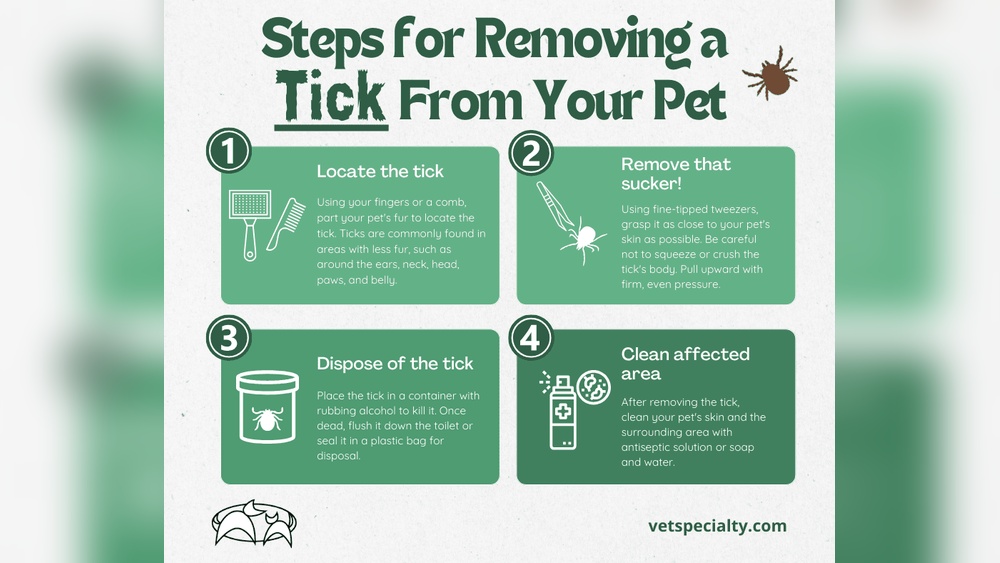 How to Remove Tick from Dog With Alcohol