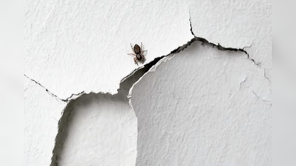 How to Stop Spiders from Cracks in Walls