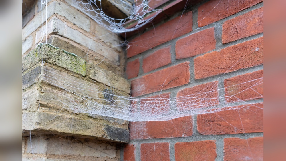 How to Stop Spiders in Outdoor Corners