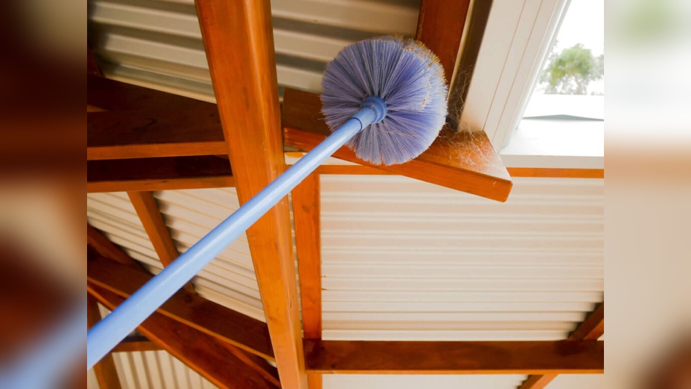 How to Stop Spiders Making Webs