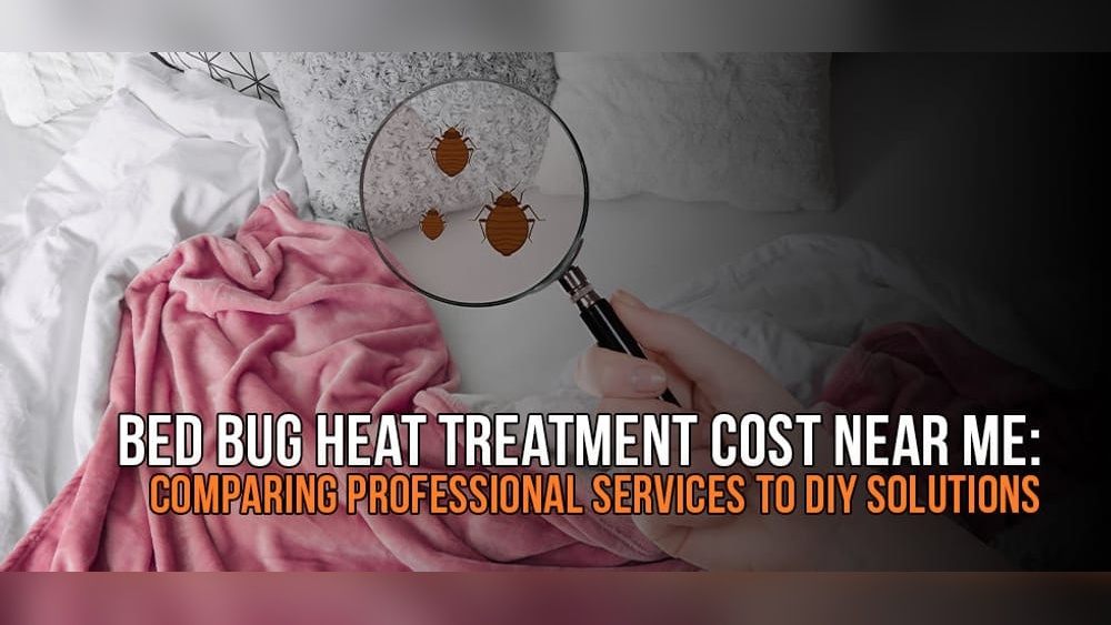 Professional Vs Diy Bed Bug Treatment Cost Comparison